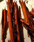 The inner bark of Cinnamon