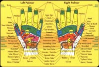 Click Here to See Our Reflexology Page